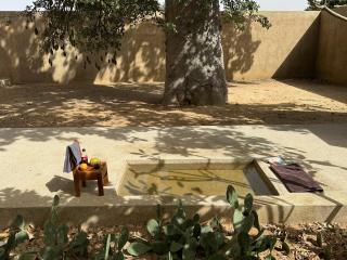 La maison du Baobab - Nianing - 4