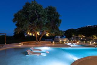 Hamilton Grand Villa - Koskinou - 4
