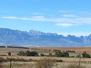 Doran Vineyards - Paarl - 3
