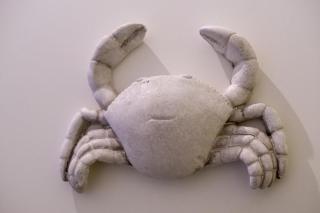 Krabbe - 3