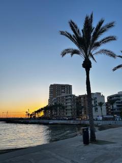 Costa DorMar - Torrevieja - 1