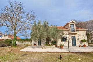 Green Ranch Stara Maslina - Kotor (Cattaro) - 0