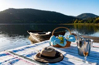 Canto do Zêzere, Sertã, Dornes, Castelo do Bode - 4