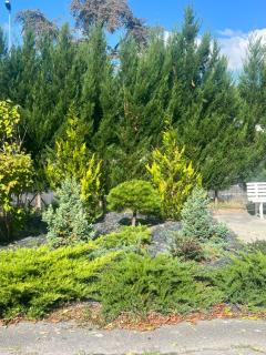 Budget Hotel Melun Sud - Dammarie Les Lys - 9