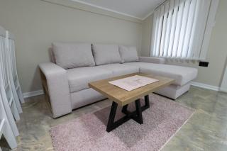 Vila Sofija Banja Vrujci - Gornja Toplica - 3