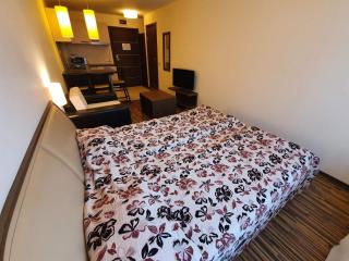 Bansko lodge 500m from ski lift - Bansko - 7
