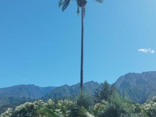 Villa Kaz'O'Reve - Sentier Dassy - 2