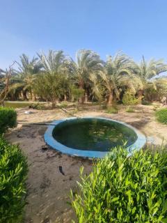 Camp Khaled Siwa - ‘Izbat Ţanāţī - 2