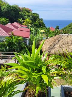 1493 lodge de charme la PINTA - Saint Barthelemy - 5