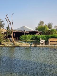 Camp Khaled Siwa - ‘Izbat Ţanāţī - 6