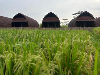 Villa Lumbung Sidemen - 9