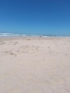 Waves at Paradise Jeffreys Bay - 8