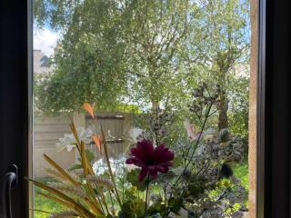 Villa Ker Sanmamaleo près de la plage - 4 chambres, 3 salles de bain, Wifi, animaux acceptés - FR-1-542-29 - Pleumeur-Bodou - 5