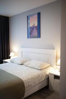 Dzukija Hotel - Alytus - 9