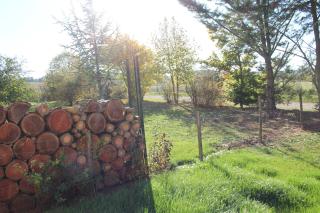 Logement pleine nature - Saint-Bris-le-Vineux - 3