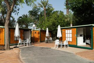 Camping Las Palmeras - Crevillente - 4