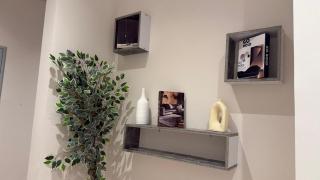 الشيخ زايد - 8