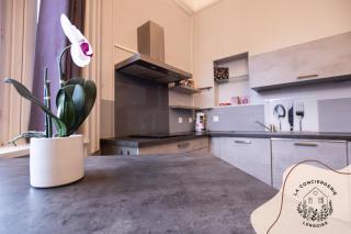 Ohana, appartement de charme, au centre de Lens - 3