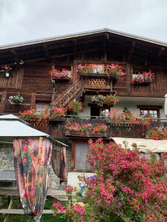 Gîte la montagne - Chamonix - 0