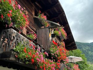 Gîte la montagne - Chamonix - 1
