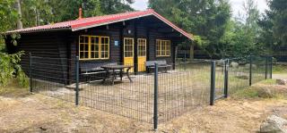 Bernsteinsee Hotel - Sassenburg - 9