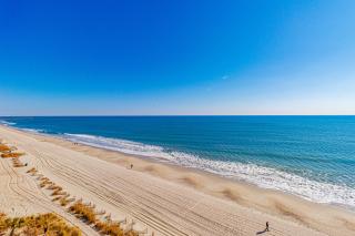 Spectacular Oceanfront Studio! Recently Renovated! Sea Mist 20902 - Myrtle Beach - 2