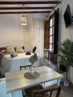 Cozy studio close to the Cathedral - Granada - 6
