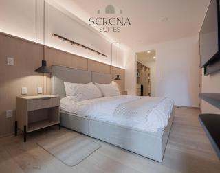 Upscale Apartment with Skyview Pool in Central Condesa - Mexiko-Stadt - 2
