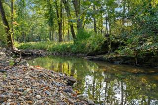 Stayhocha Themed Creekside LUX with Views - Broken Bow - 4
