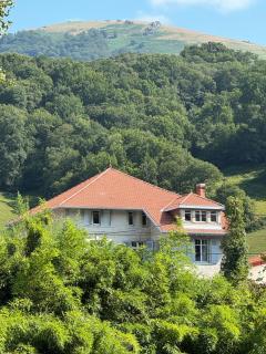 Villa Georgette - Saint-Étienne-de-Baïgorry - 8