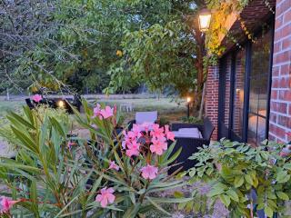 Gite 4 a 6 pers avec piscine Vendome - 8