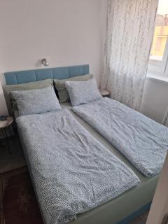 Apartman u Zemunu - Zemun - 2