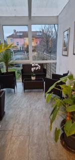 Wohnung mit Wintergarten - Rüsselsheim - 2