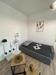 Charmant T2 - Centre - 4 personnes - Angers - 2