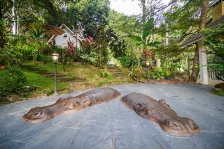 ปางสูงเฮาส์ pink house - Ban Pang Bo Hu Bon - 2