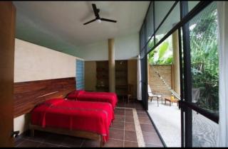Canto de la selva - - 0