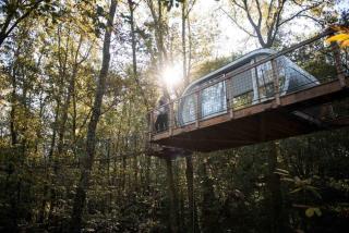 Cabane Le Module - Angoisse - 5