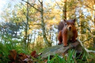 Cabane Le Module - Angoisse - 2