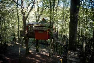 La Cabane Zen - 3