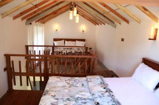 Fertile land resort adam's peak - 2