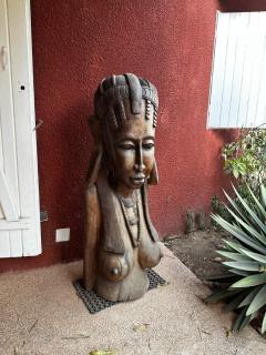 CarthagŌ Manguier - 5