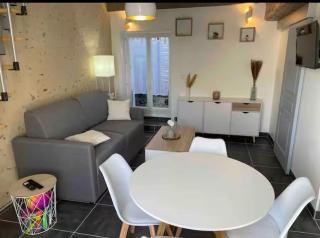 Jolie maison cosy en sologne - Romorantin - 0