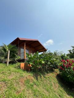 Villa Lomas Sarapiquí - - 0