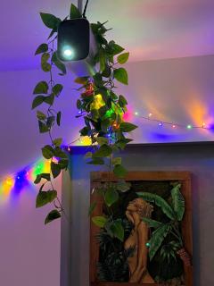Appartement T3 - forêt & plage - Anglet - 5
