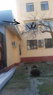 Уют - Tashkent - 6