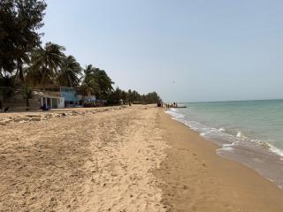 COCOTIER CarthagO - 9