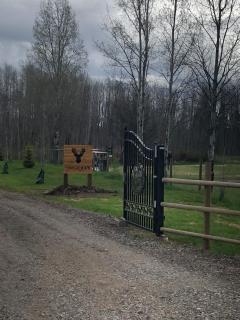 Simcoe B&B - Incredible vacation suite - 7