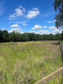 Forest holiday home with option to bring your horse - - 6