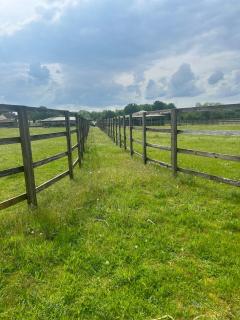 Forest holiday home with option to bring your horse - - 1