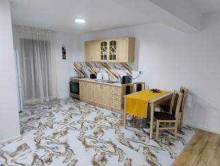 Luca - Brasov - 5